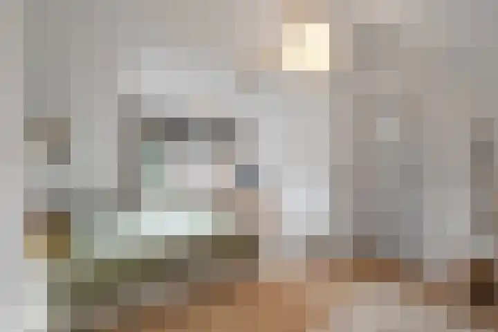Rhijnvis Feithlaan 41 Alkmaar thumbnail 31