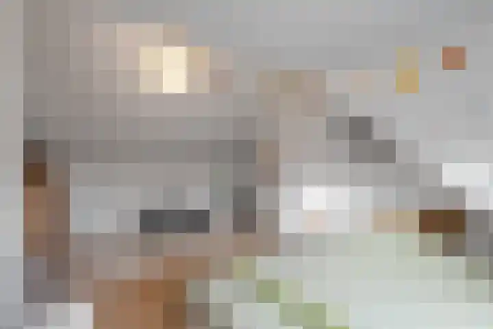 Rhijnvis Feithlaan 41 Alkmaar thumbnail 32