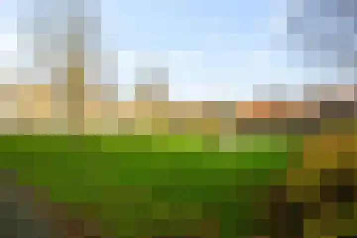 Rhijnvis Feithlaan 41 Alkmaar thumbnail 36