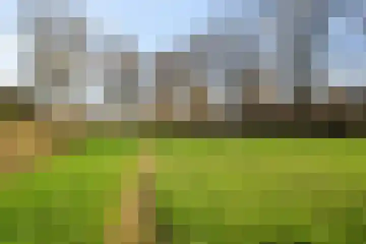 Rhijnvis Feithlaan 41 Alkmaar thumbnail 37