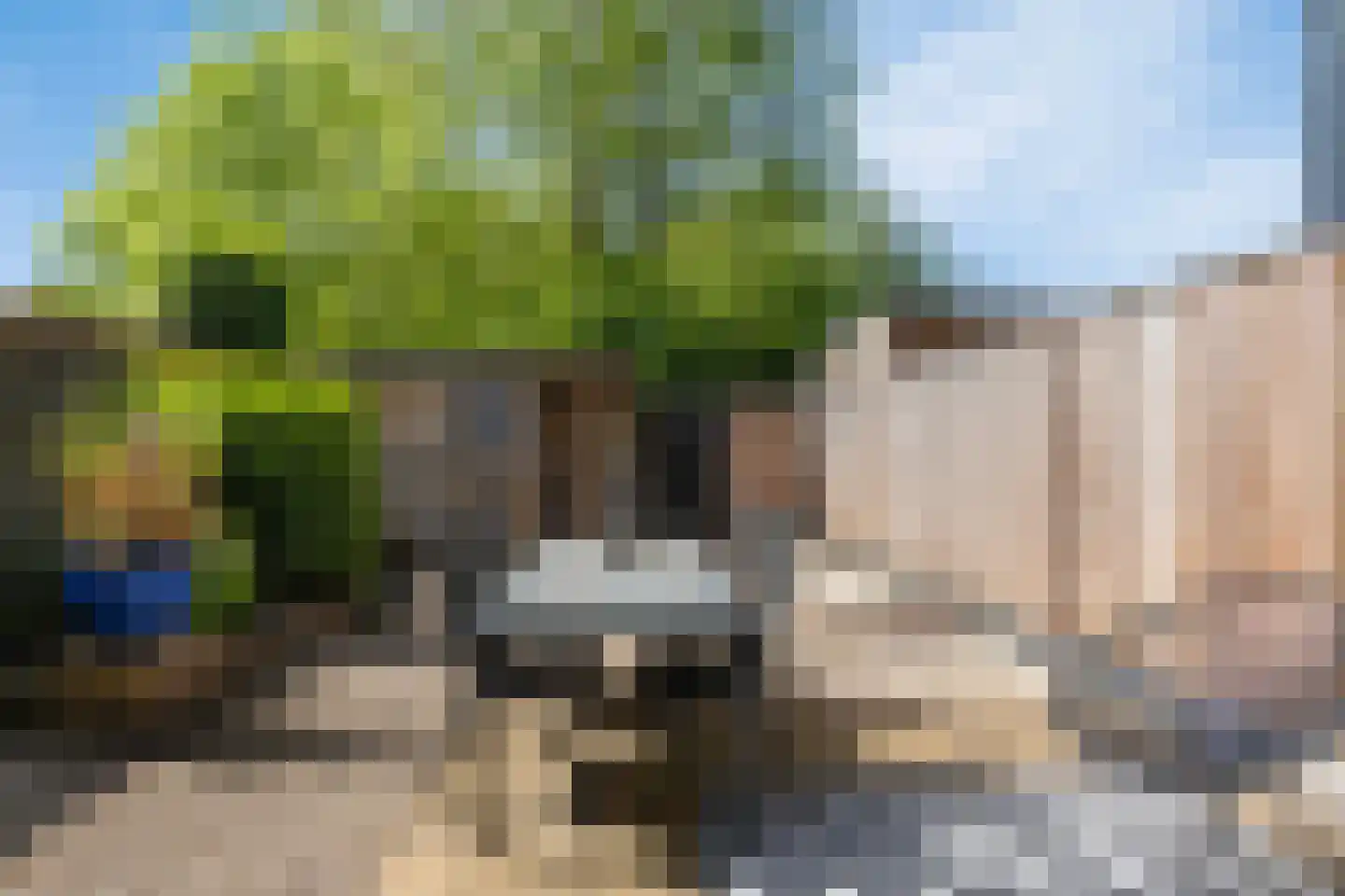 Rhijnvis Feithlaan 44 Alkmaar thumbnail 19