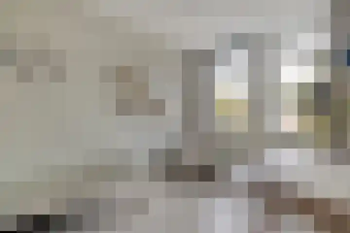 Rhijnvis Feithlaan 54 Zwolle thumbnail 24