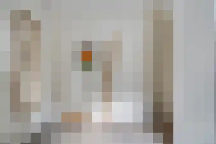 Rhijnvis Feithlaan 54 Zwolle thumbnail 28