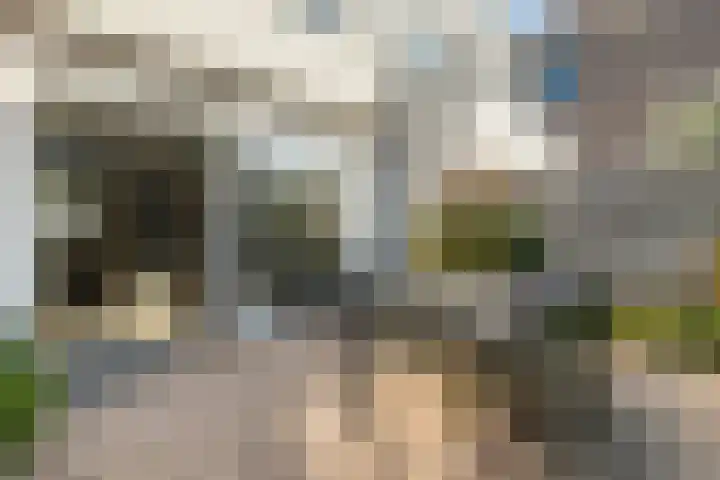 Rhijnvis Feithlaan 54 Zwolle thumbnail 34