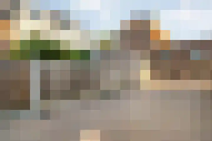 Rhijnvis Feithlaan 54 Zwolle thumbnail 41