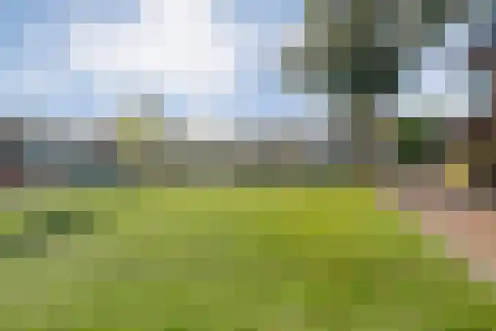 Rhijnvis Feithlaan 54 Zwolle thumbnail 43