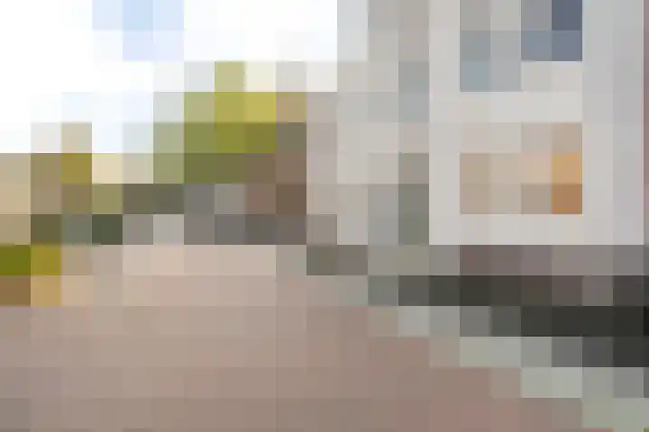 Rhijnvis Feithlaan 54 Zwolle thumbnail 45