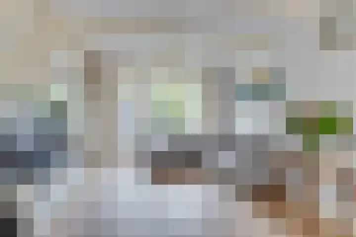 Rhijnvis Feithlaan 60 Alkmaar thumbnail 10