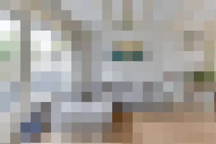 Rhijnvis Feithlaan 60 Alkmaar thumbnail 11
