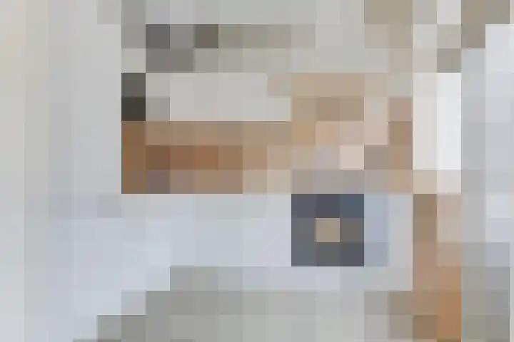 Rhijnvis Feithlaan 60 Alkmaar thumbnail 12