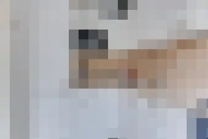 Rhijnvis Feithlaan 60 Alkmaar thumbnail 14