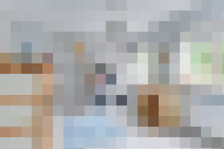 Rhijnvis Feithlaan 60 Alkmaar thumbnail 16