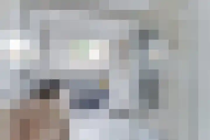 Rhijnvis Feithlaan 60 Alkmaar thumbnail 19