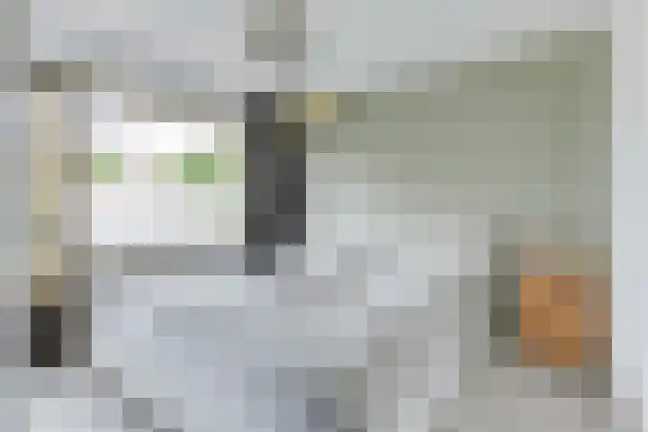 Rhijnvis Feithlaan 60 Alkmaar thumbnail 26