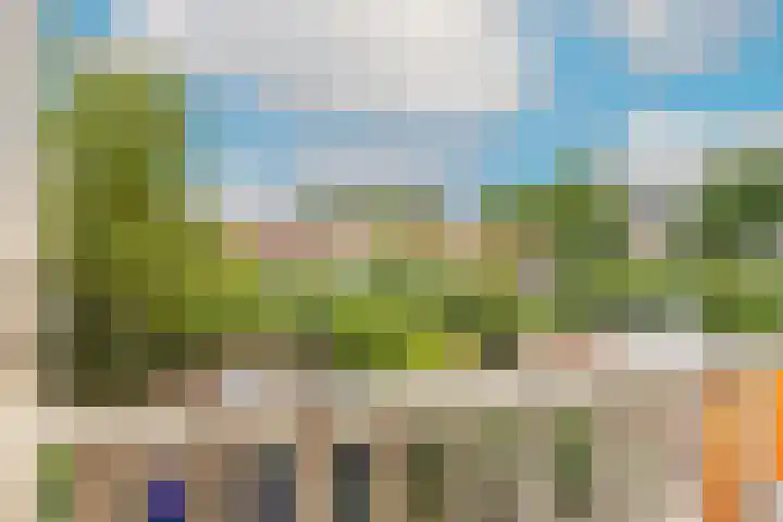 Rhijnvis Feithlaan 60 Alkmaar thumbnail 34