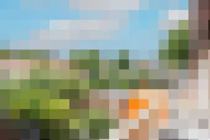 Rhijnvis Feithlaan 60 Alkmaar thumbnail 35