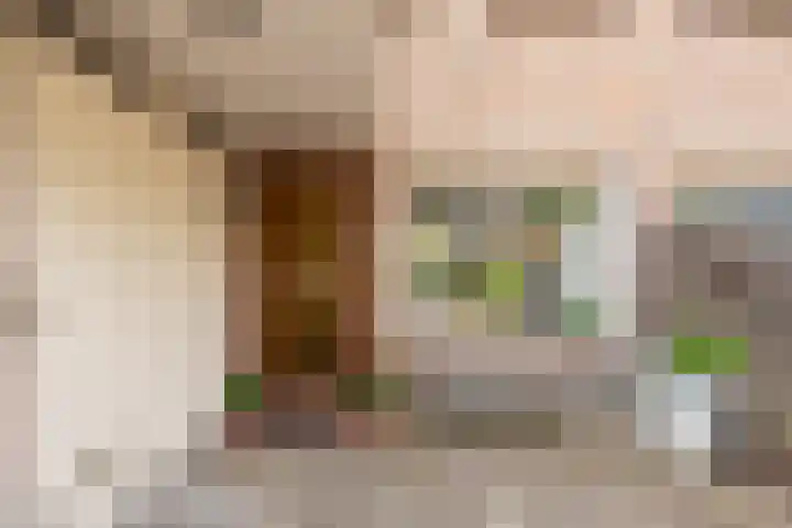Rhijnvis Feithlaan 60 Alkmaar thumbnail 5