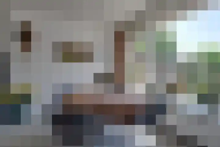Rhijnvis Feithlaan 62 Alkmaar thumbnail 11
