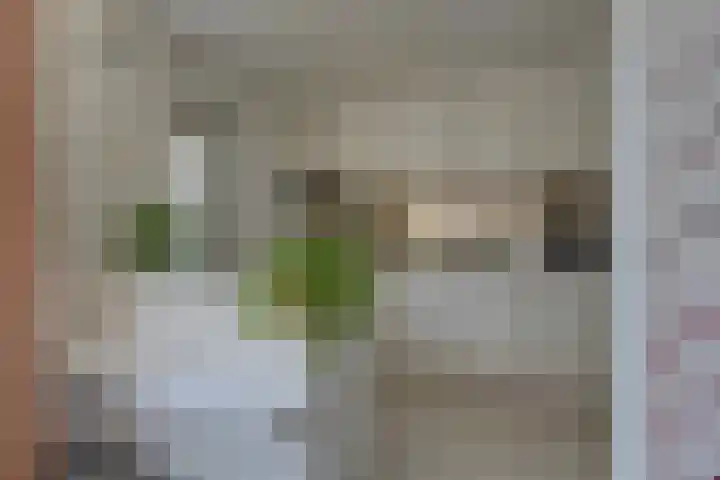 Rhijnvis Feithlaan 62 Alkmaar thumbnail 12