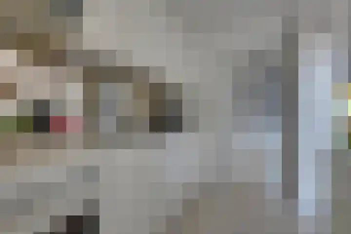 Rhijnvis Feithlaan 62 Alkmaar thumbnail 15