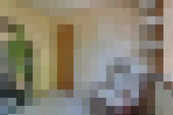 Rhijnvis Feithlaan 62 Alkmaar thumbnail 22