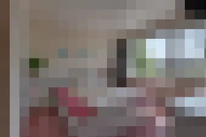 Rhijnvis Feithlaan 62 Alkmaar thumbnail 28
