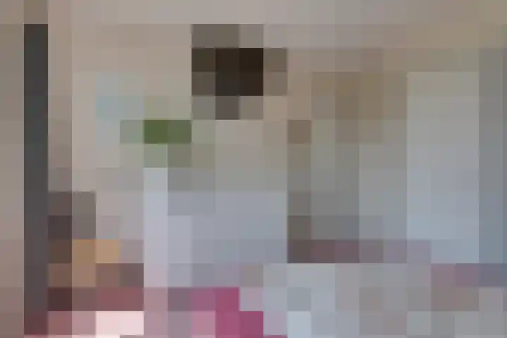 Rhijnvis Feithlaan 62 Alkmaar thumbnail 30