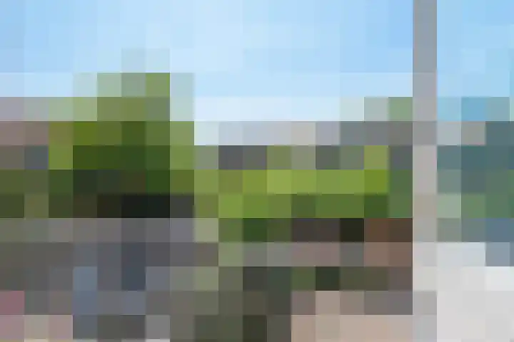 Rhijnvis Feithlaan 62 Alkmaar thumbnail 32
