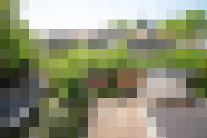 Rhijnvis Feithlaan 62 Alkmaar thumbnail 33