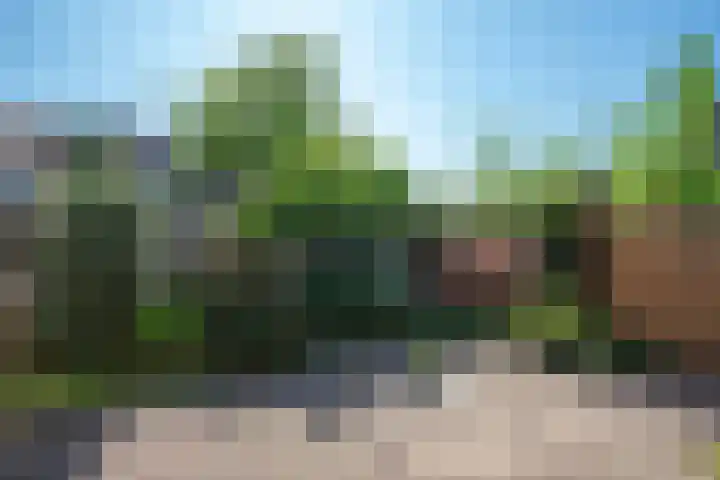Rhijnvis Feithlaan 62 Alkmaar thumbnail 37