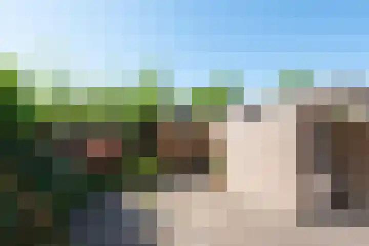 Rhijnvis Feithlaan 62 Alkmaar thumbnail 39