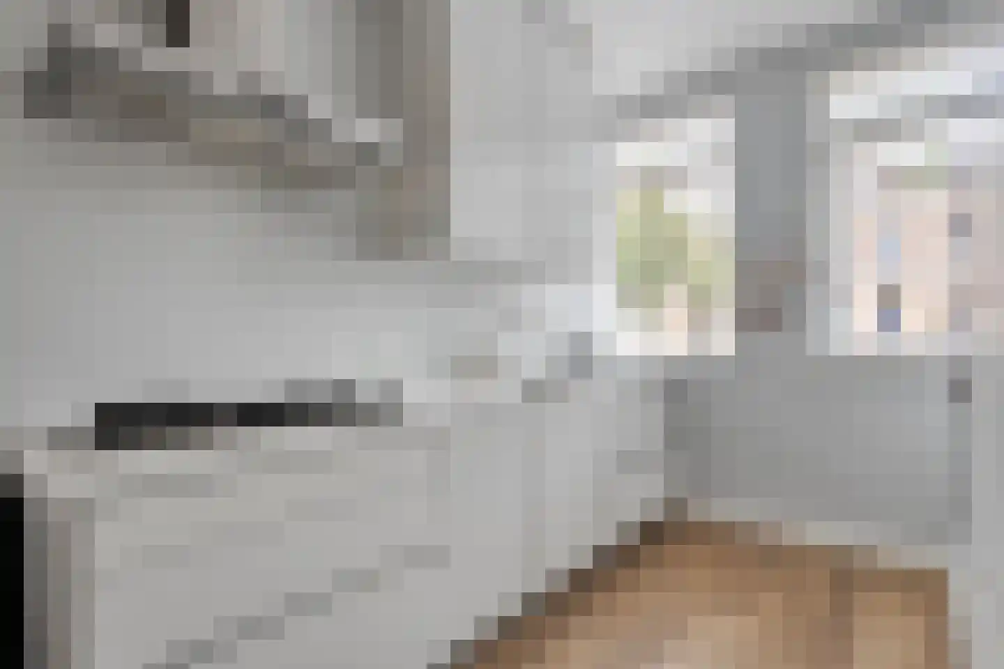 Rhijnvis Feithlaan 64 Zwolle thumbnail 15