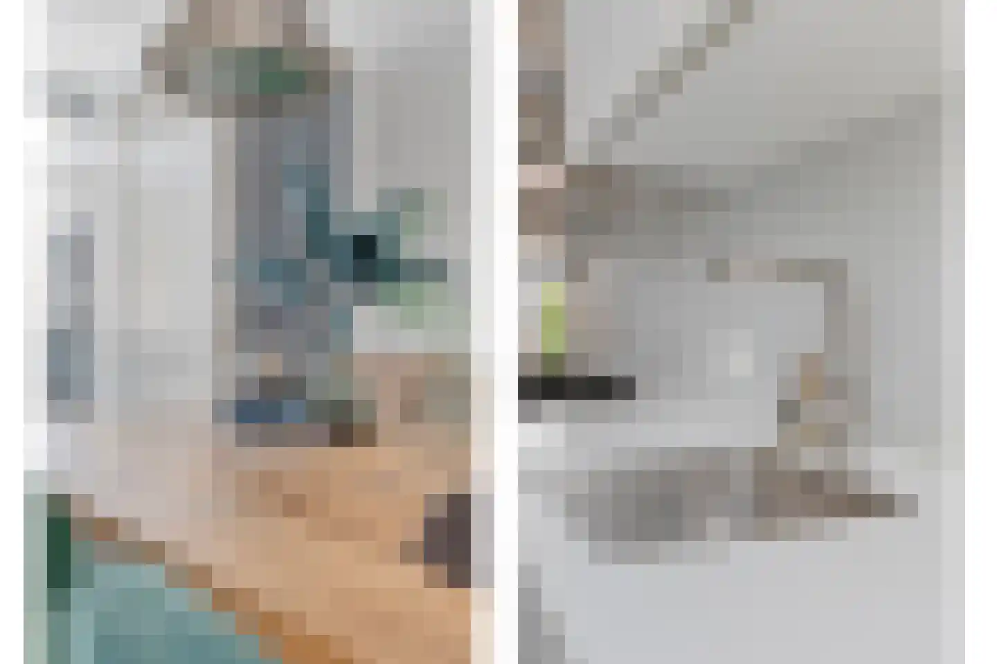 Rhijnvis Feithlaan 64 Zwolle thumbnail 16