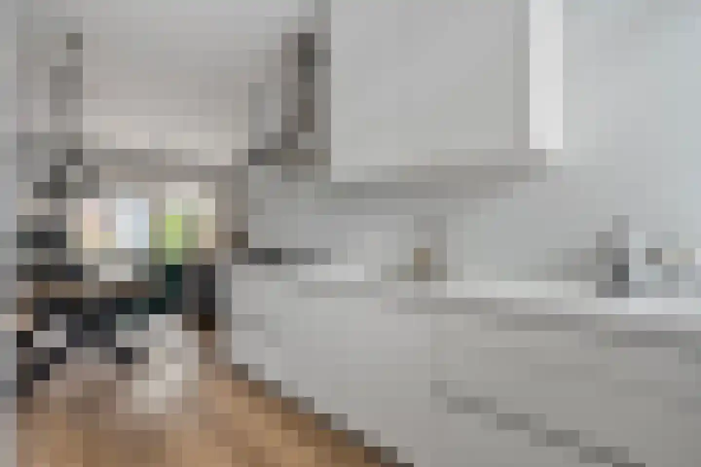 Rhijnvis Feithlaan 64 Zwolle thumbnail 18