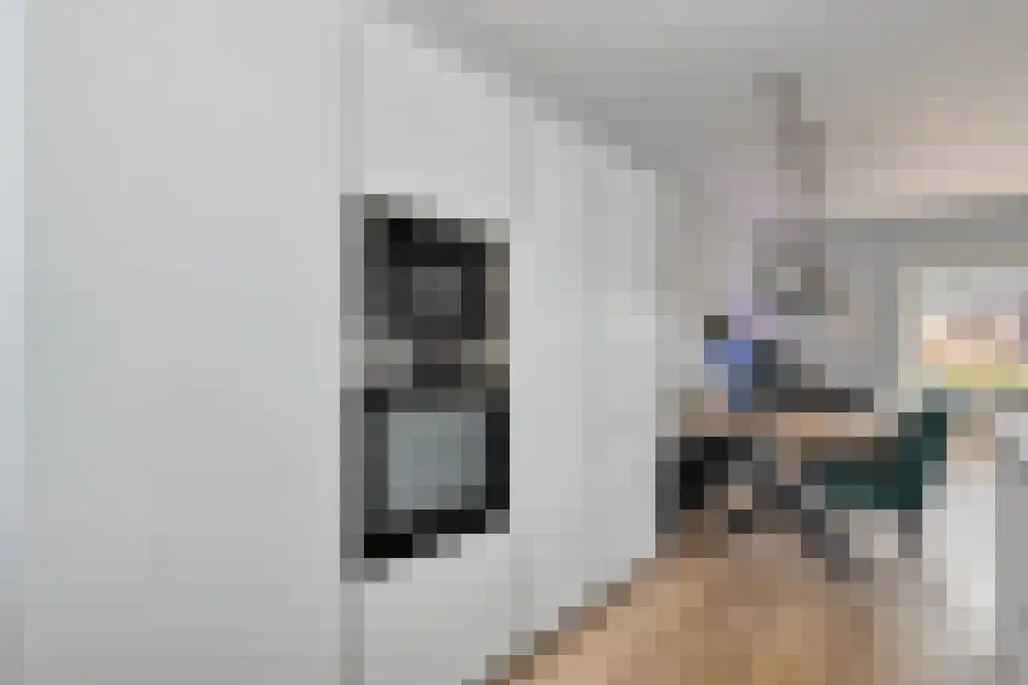 Rhijnvis Feithlaan 64 Zwolle thumbnail 19