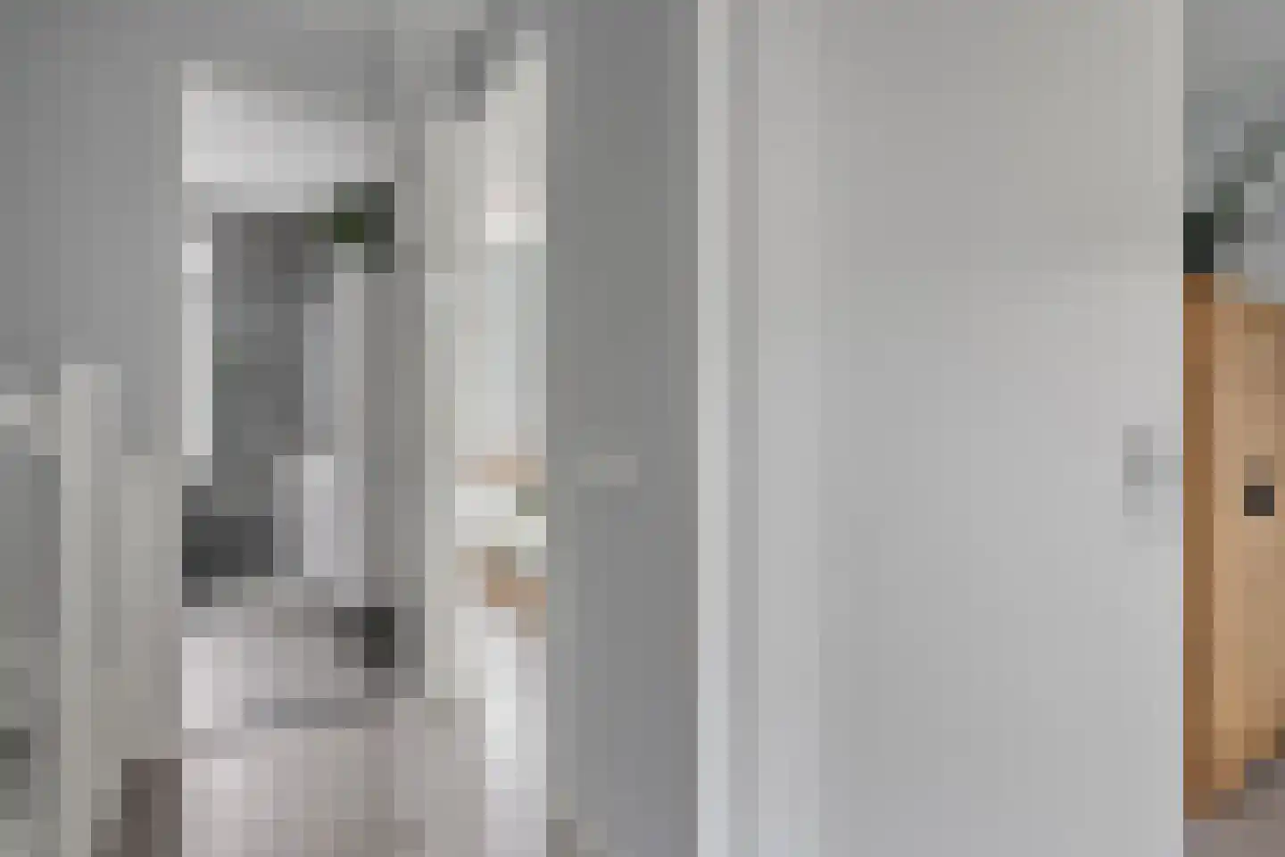 Rhijnvis Feithlaan 64 Zwolle thumbnail 23