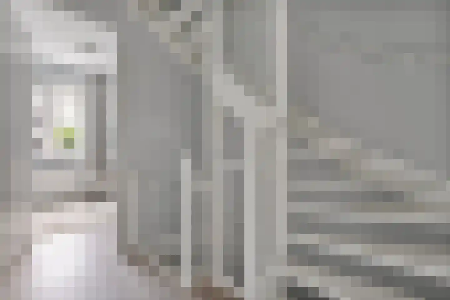 Rhijnvis Feithlaan 64 Zwolle thumbnail 33