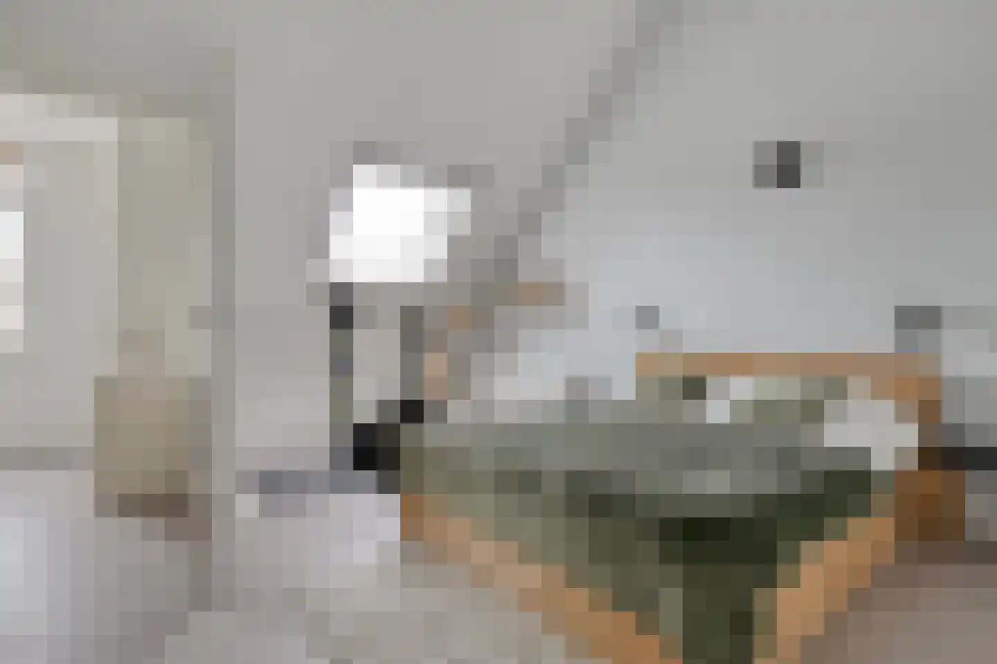 Rhijnvis Feithlaan 64 Zwolle thumbnail 34