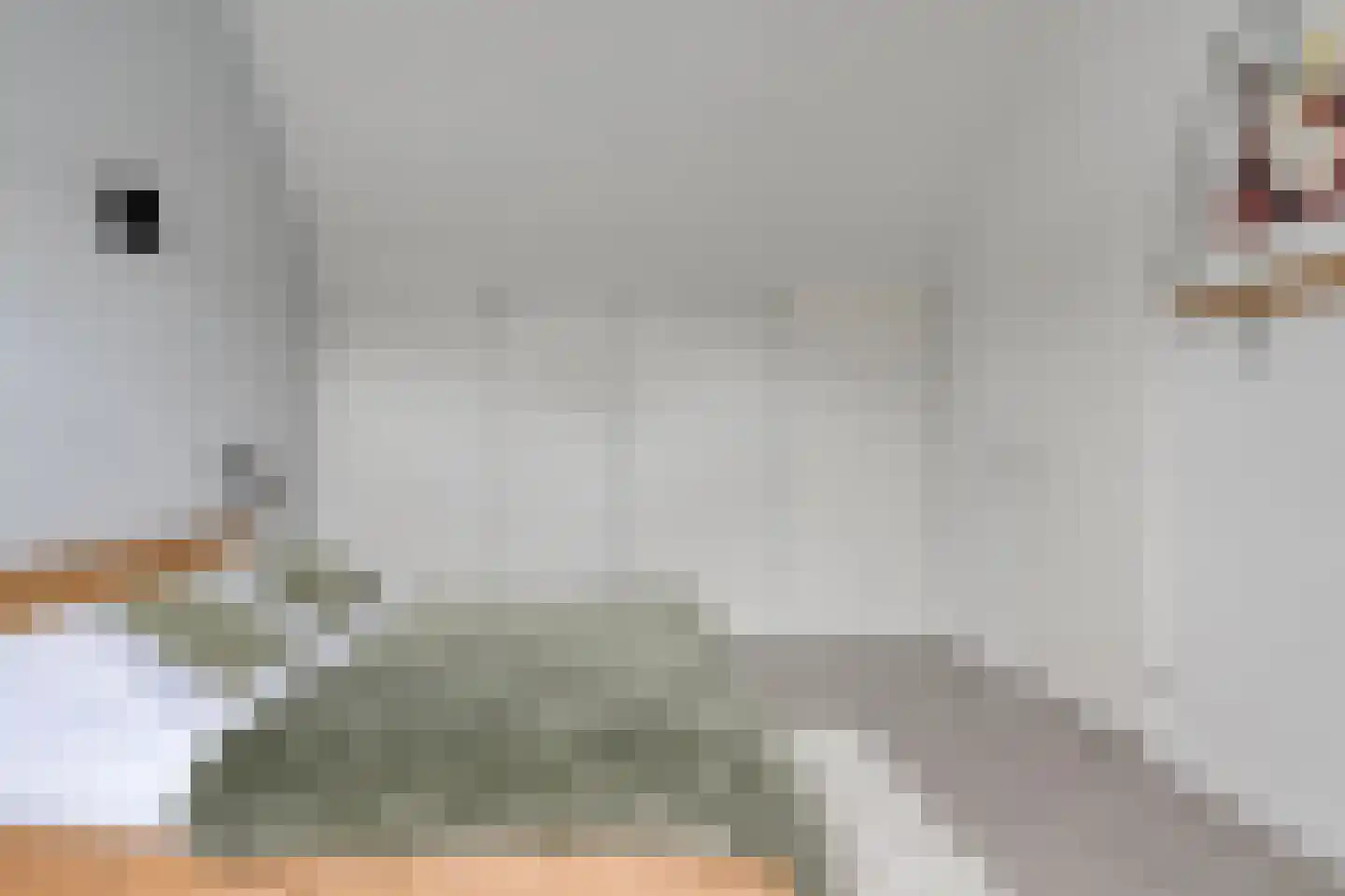 Rhijnvis Feithlaan 64 Zwolle thumbnail 35