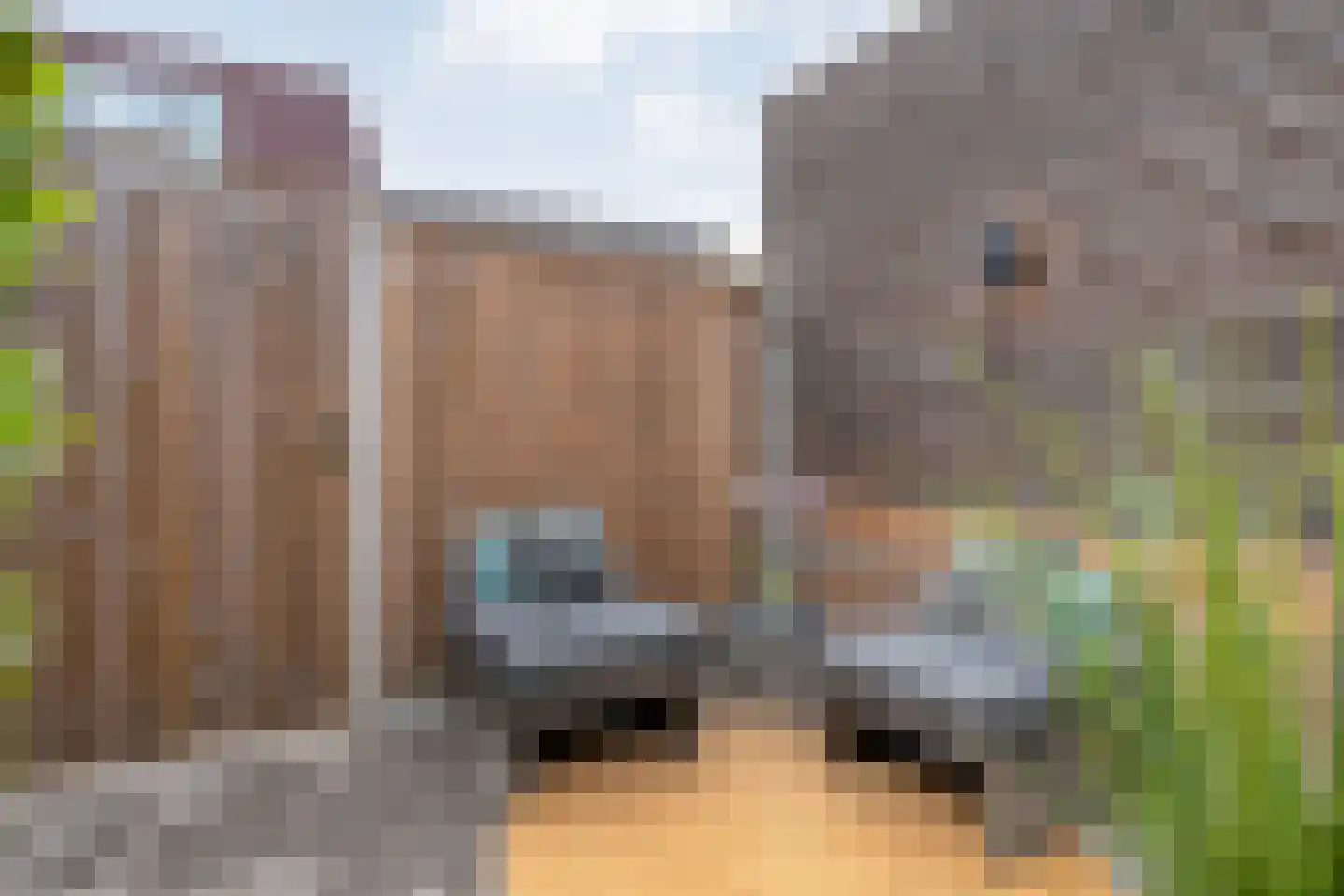 Rhijnvis Feithlaan 64 Zwolle thumbnail 45