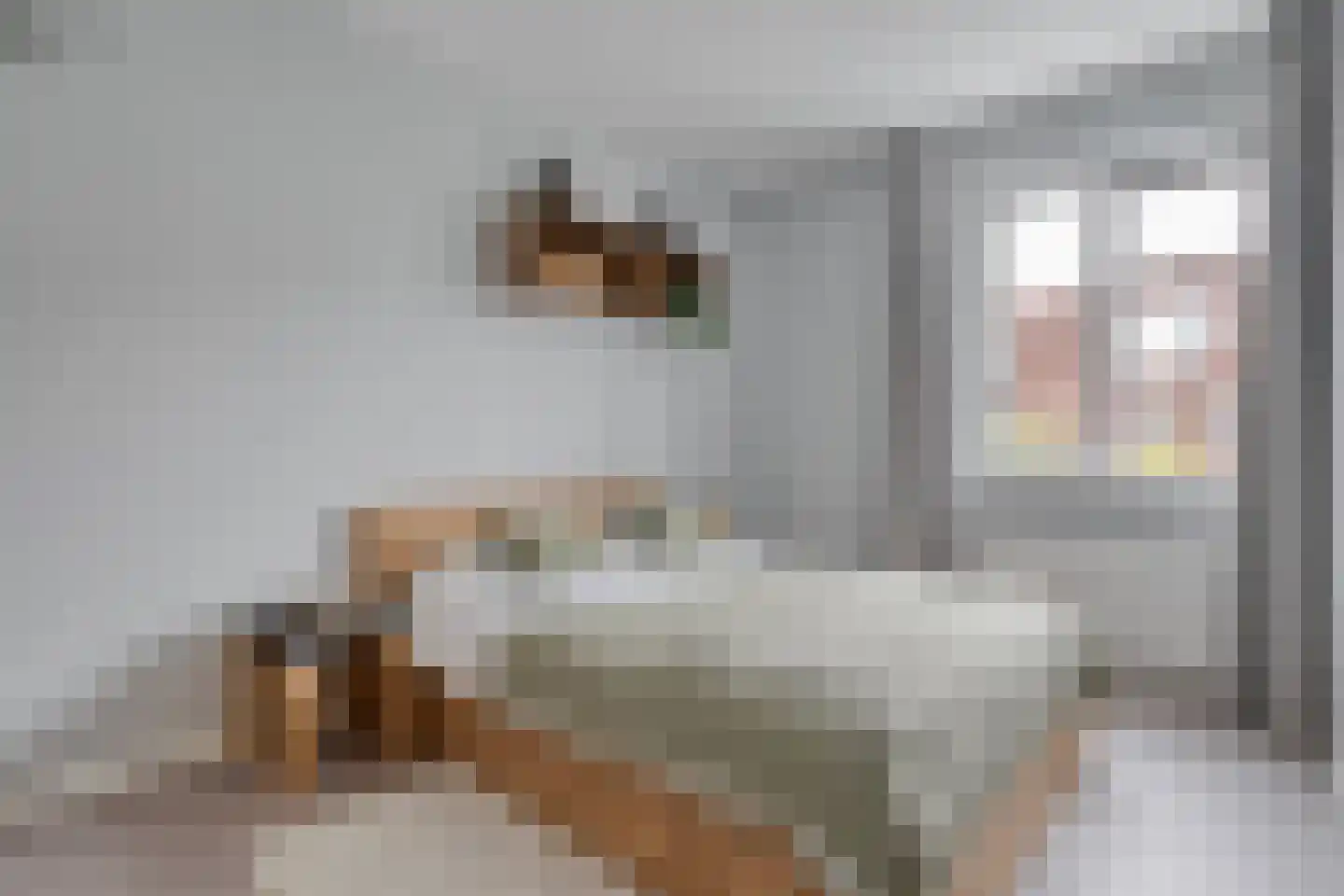 Rhijnvis Feithlaan 64 Zwolle thumbnail 7