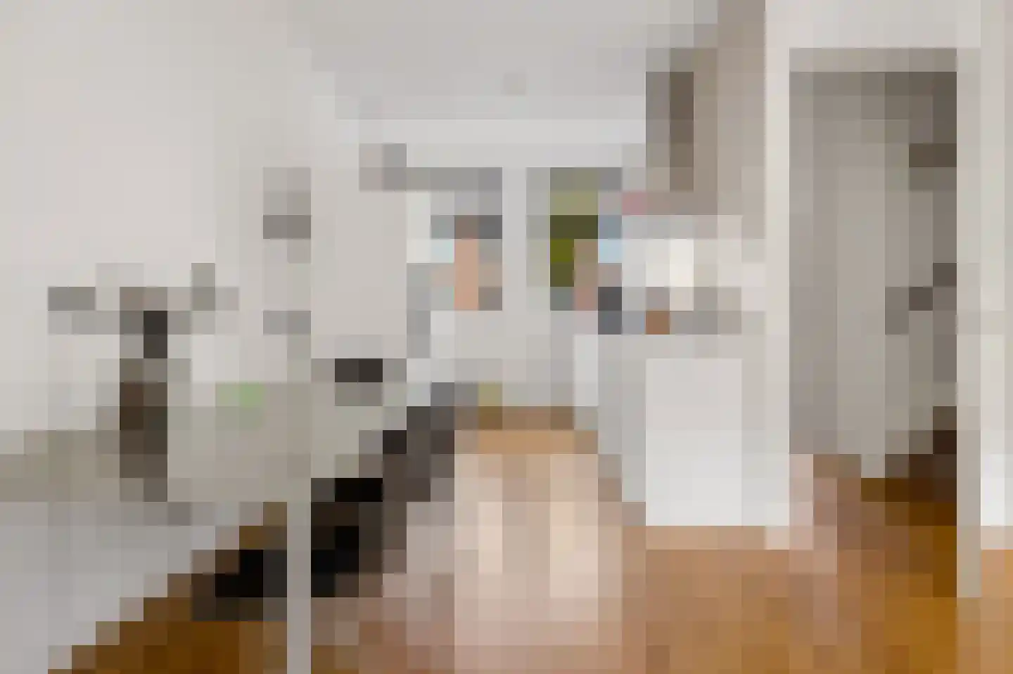 Rhijnvis Feithlaan 66 Zwolle thumbnail 17