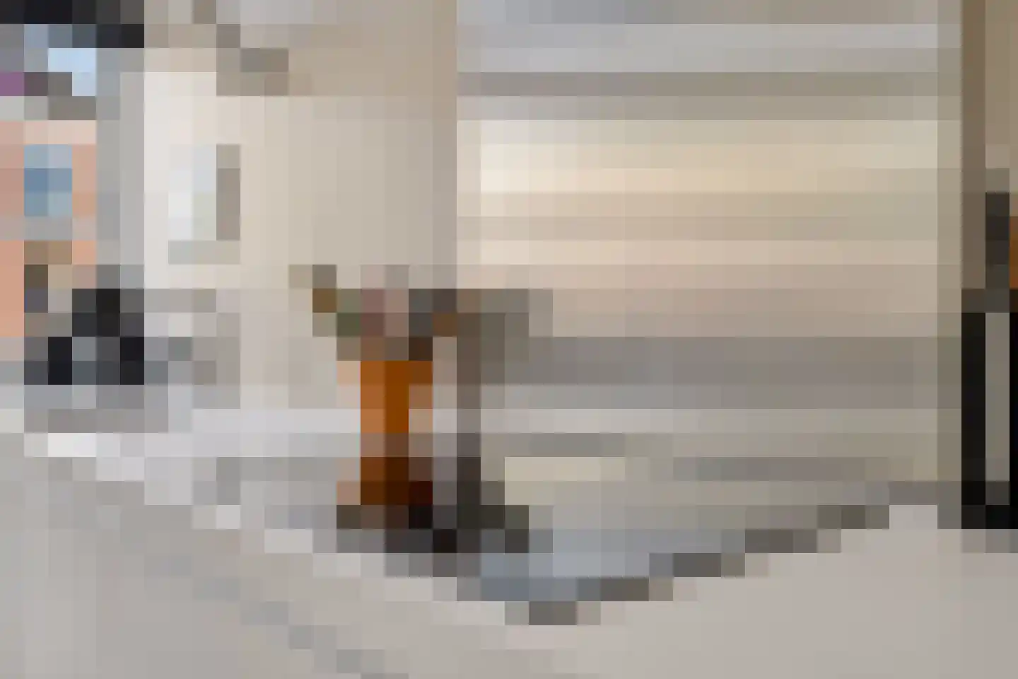 Rhijnvis Feithlaan 66 Zwolle thumbnail 22
