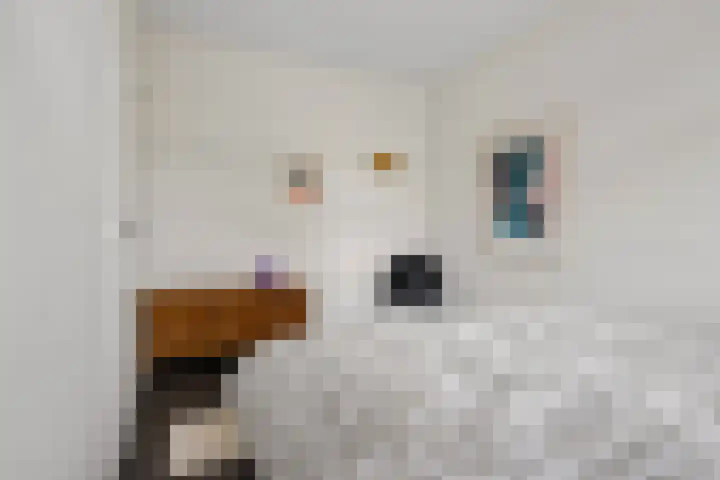 Rhijnvis Feithlaan 66 Zwolle thumbnail 25
