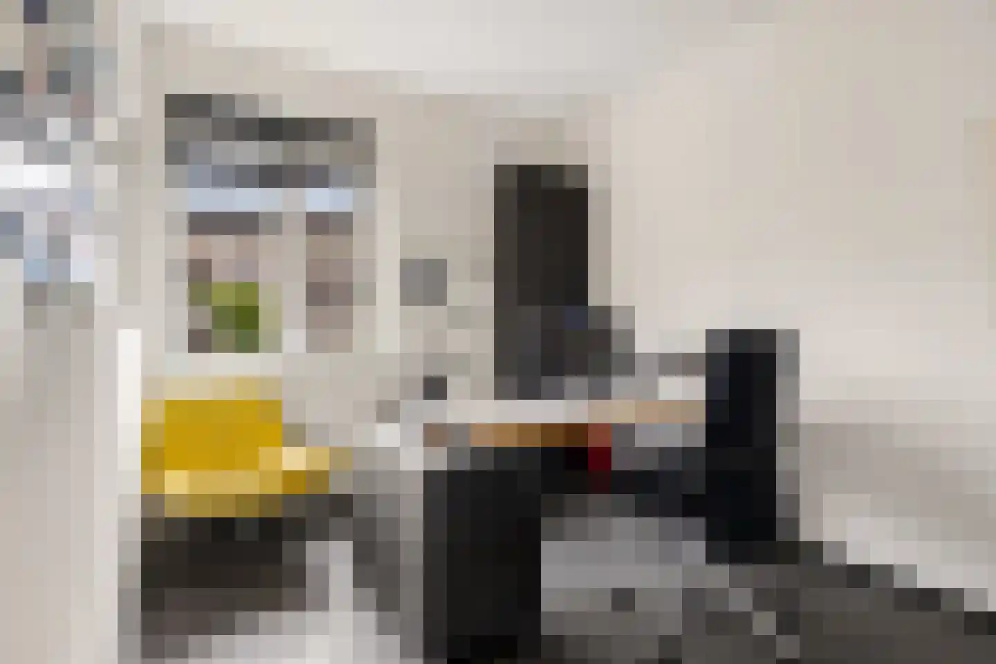 Rhijnvis Feithlaan 66 Zwolle thumbnail 26