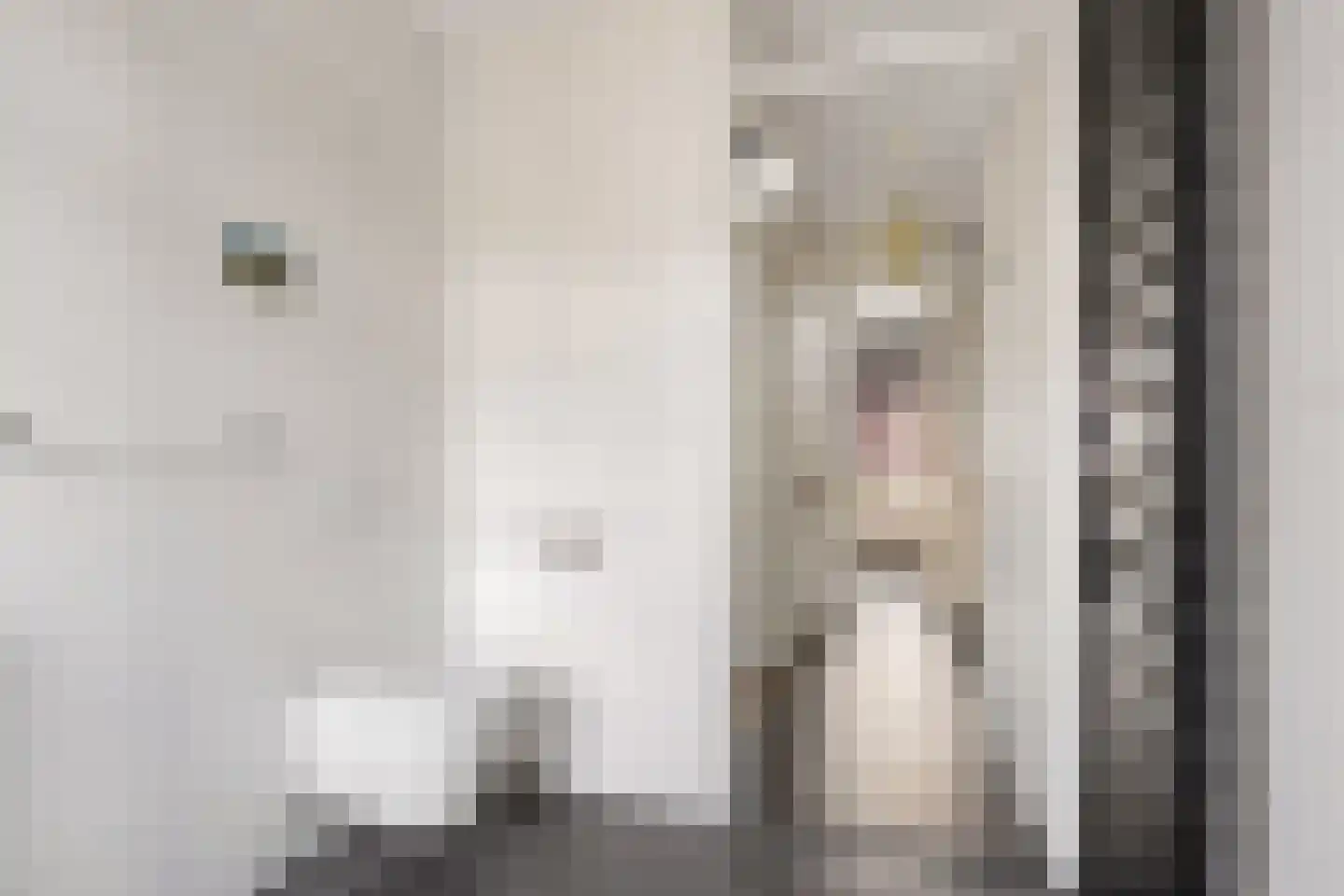 Rhijnvis Feithlaan 66 Zwolle thumbnail 31