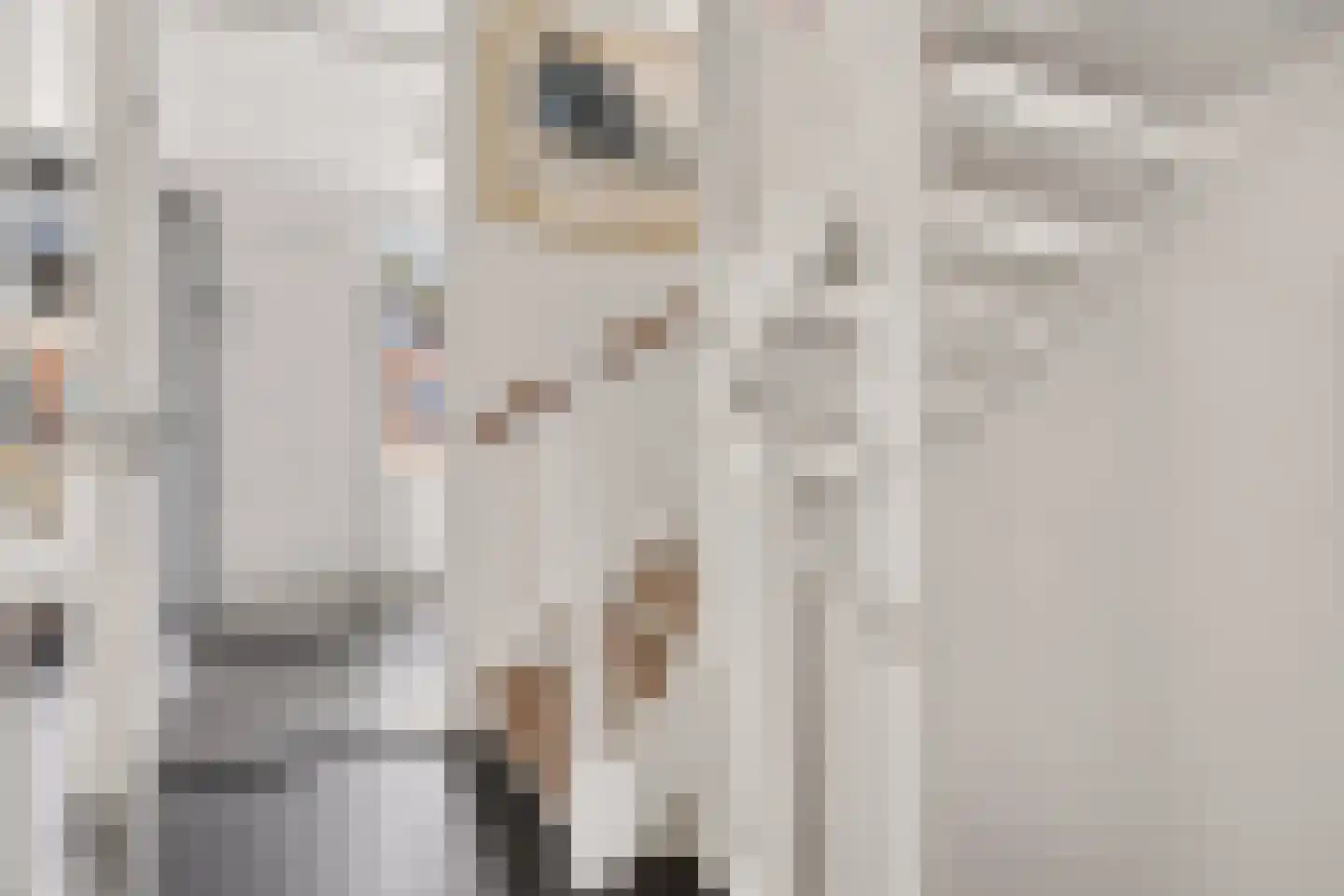Rhijnvis Feithlaan 66 Zwolle thumbnail 33