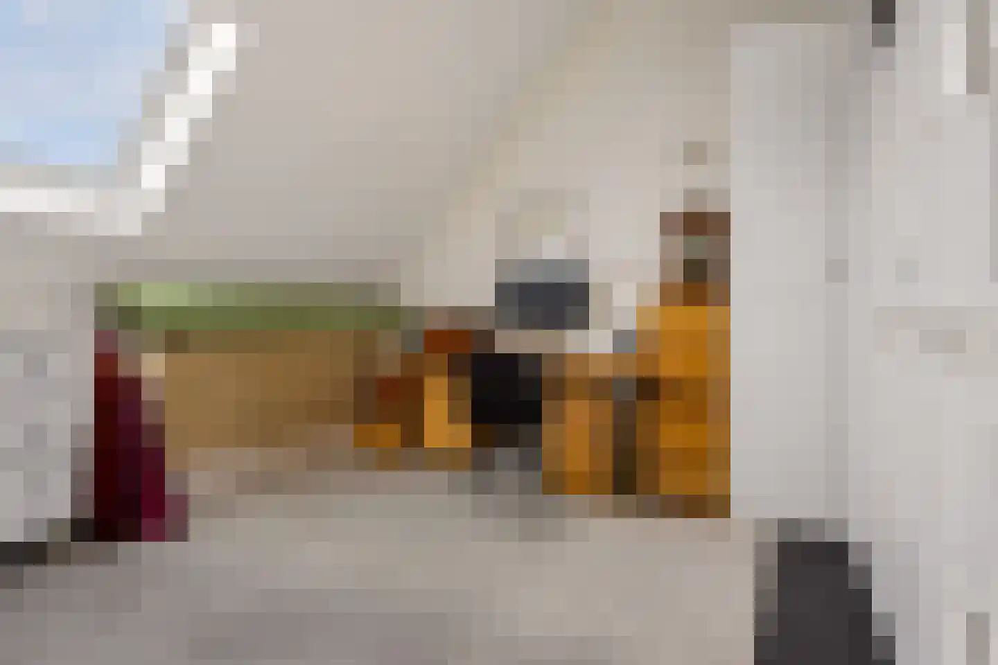 Rhijnvis Feithlaan 66 Zwolle thumbnail 35