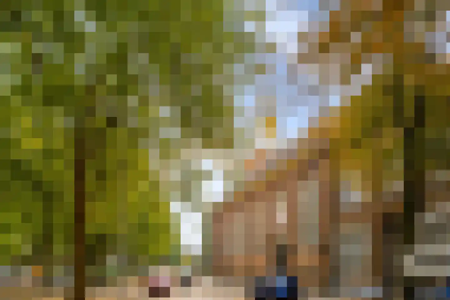 Rhijnvis Feithlaan 66 Zwolle thumbnail 52