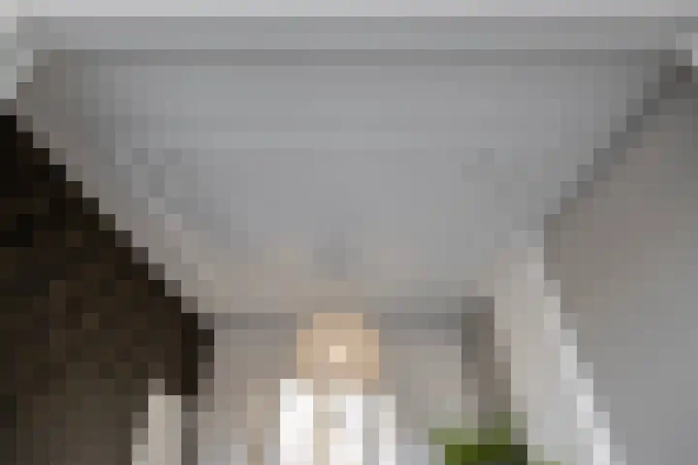 Rhijnvis Feithlaan 7 Zwolle thumbnail 13